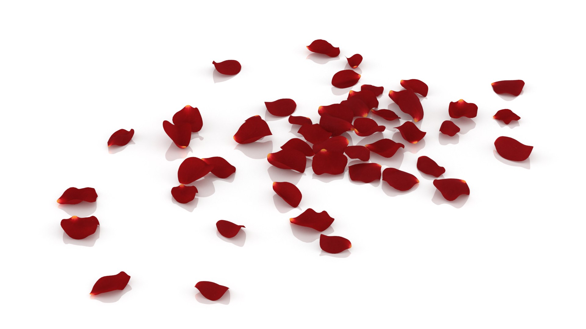 3D flower rose petal red https://p.turbosquid.com/ts-thumb/vQ/DWNJxd/sW/3/png/1655218990/1920x1080/fit_q87/3f6ed9d141e4dd63f55fe7d7ca294524634b8a1b/3.jpg