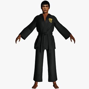 Kung Fu 3D model