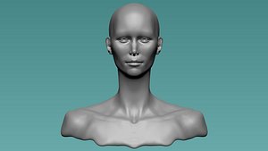 An Anatomically Correct Sculpt of the Womans Head 3D model