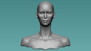 An Anatomically Correct Sculpt of the Womans Head