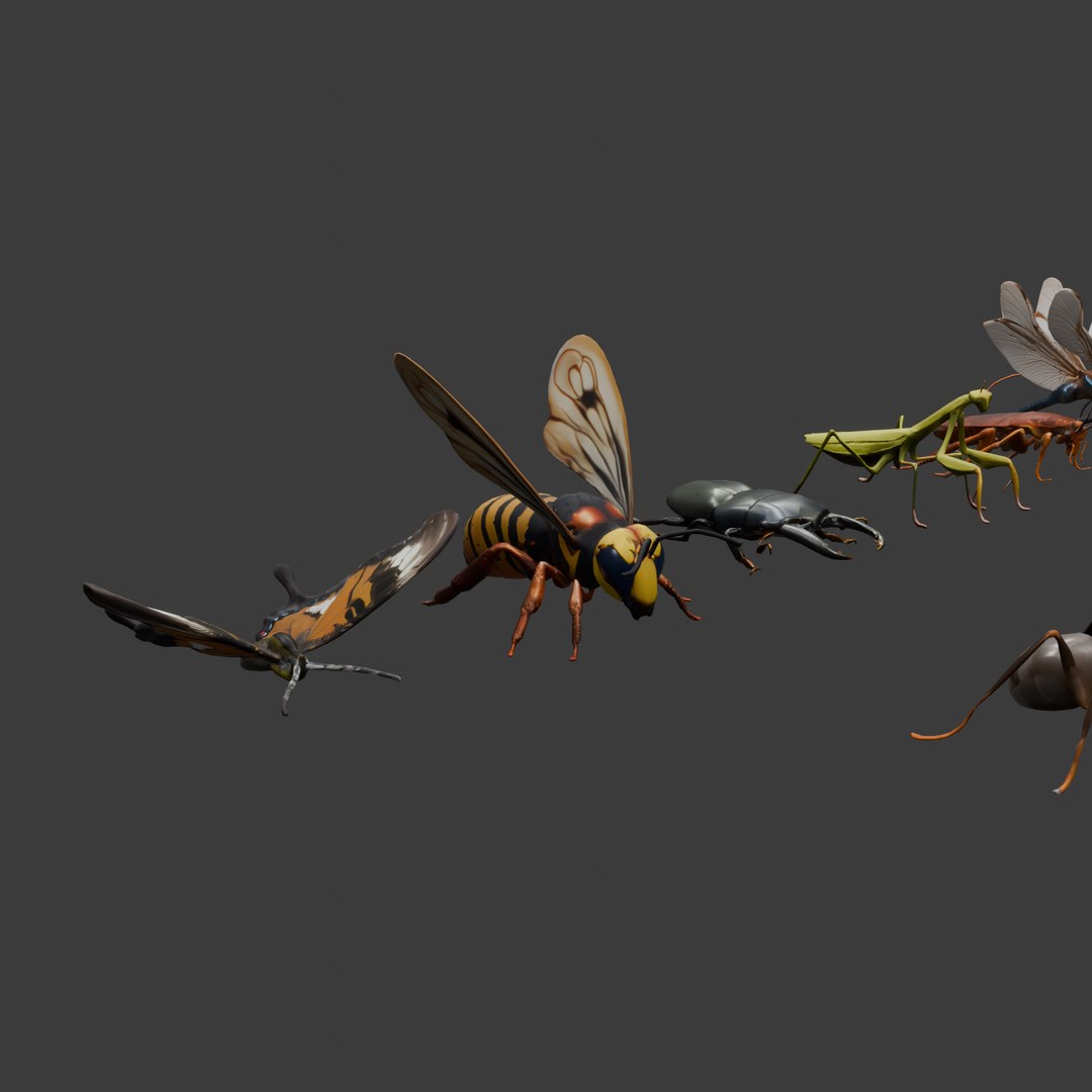 3D Low Poly Insect Set 15 Unique Models For Your Projects - TurboSquid ...