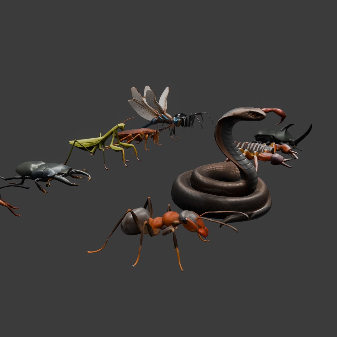 3D Low Poly Insect Set 15 Unique Models For Your Projects - TurboSquid ...