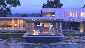 VALUE PACK OFFER Modern Beach houses villas model