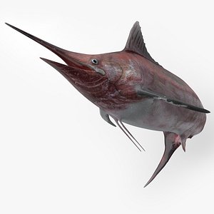Marlin Rigged L1830