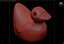 Rubber Duck