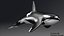 Killer Whale C4d Max Maya UNIDAD Unreal Engine 4 PAck