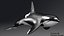 Killer Whale C4d Max Maya UNIDAD Unreal Engine 4 PAck