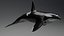 Killer Whale C4d Max Maya UNIDAD Unreal Engine 4 PAck