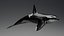 Killer Whale C4d Max Maya UNIDAD Unreal Engine 4 PAck