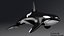 Killer Whale C4d Max Maya UNIDAD Unreal Engine 4 PAck