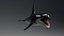 Killer Whale C4d Max Maya UNIDAD Unreal Engine 4 PAck