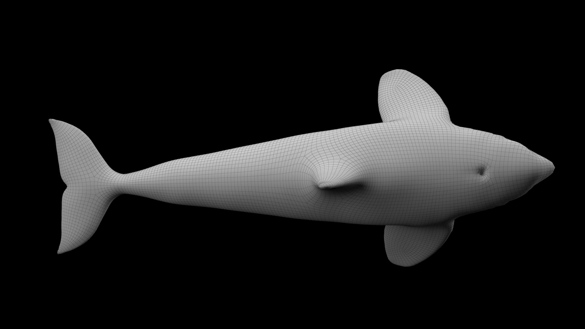 killer whale unreal engine model https://p.turbosquid.com/ts-thumb/vQ/efMiaf/aJJEG6da/w1_02/jpg/1581257113/1920x1080/fit_q87/a31b6b03e598bdab7e559aa997b4e46be5f6761b/w1_02.jpg
