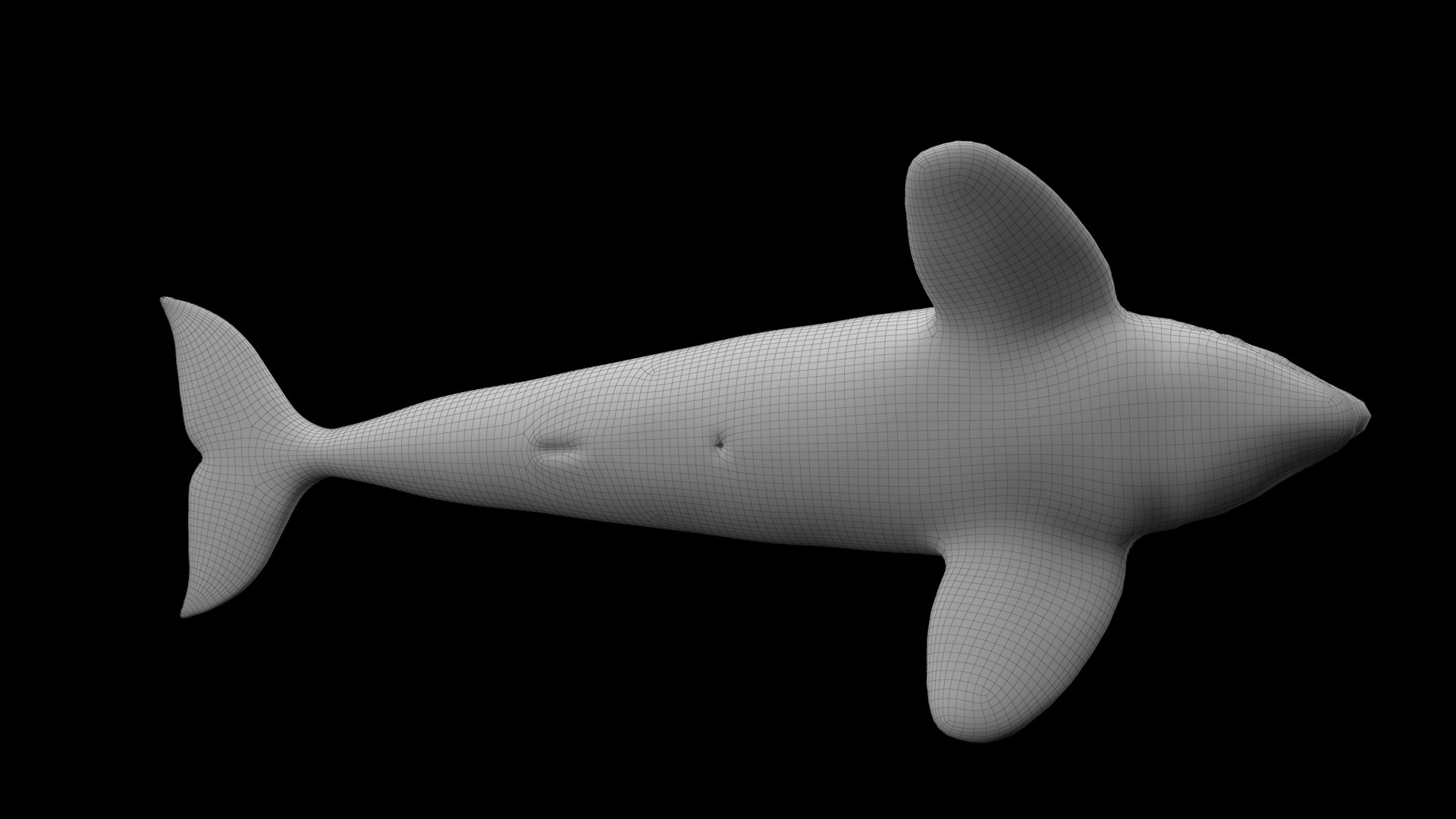 killer whale unreal engine model https://p.turbosquid.com/ts-thumb/vQ/efMiaf/aQPxKo2i/w1_04/jpg/1581257113/1920x1080/fit_q87/87030764ca482aa86684955081eda32f2bd0e362/w1_04.jpg