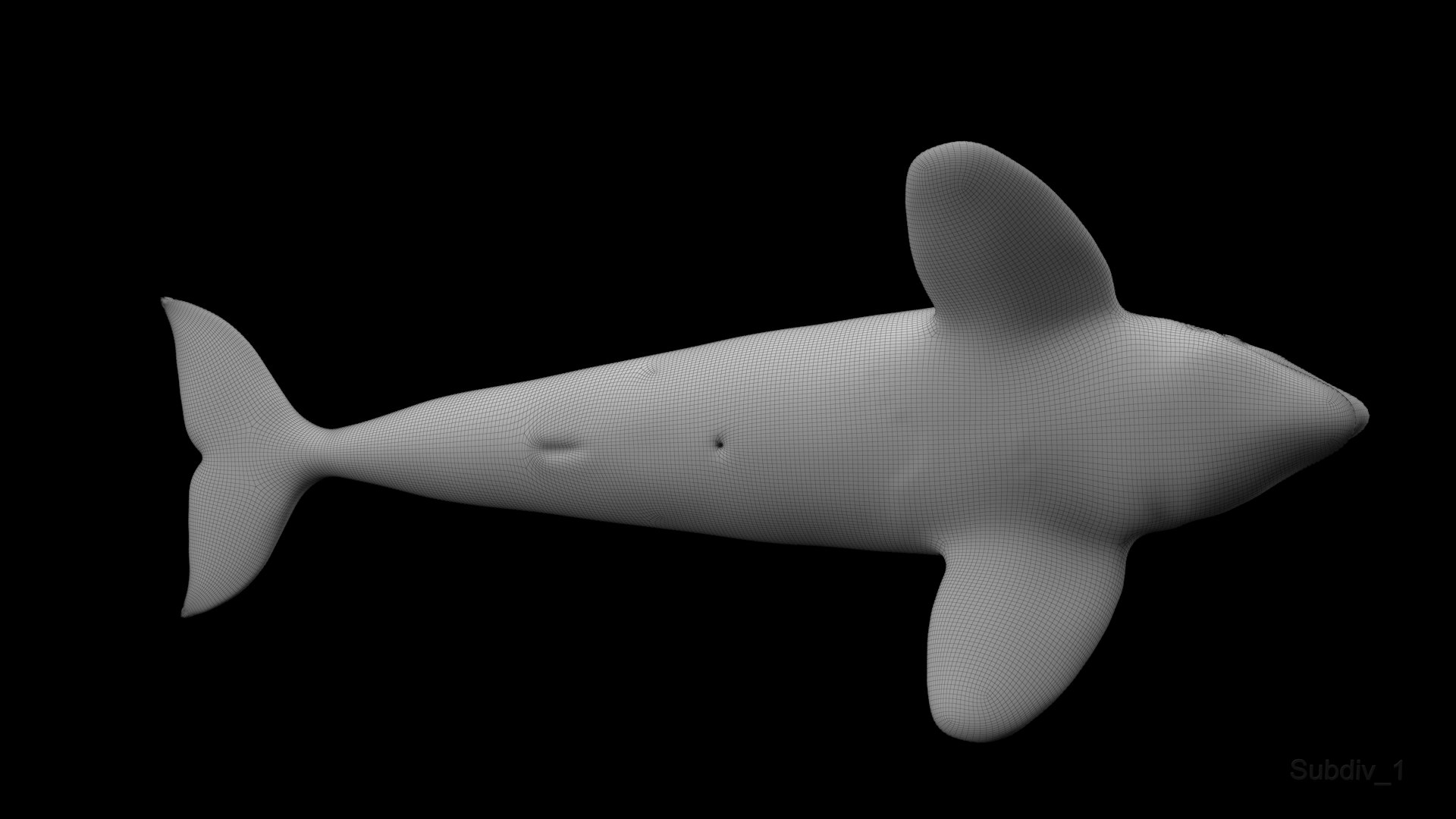 killer whale unreal engine model https://p.turbosquid.com/ts-thumb/vQ/efMiaf/dI7LUvT4/w1_05/jpg/1581257113/1920x1080/fit_q87/a3e4ab7e8a1fca0025bf540a9a33ca7db29ecca0/w1_05.jpg