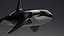 Killer Whale C4d Max Maya UNIDAD Unreal Engine 4 PAck