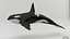 Killer Whale C4d Max Maya UNIDAD Unreal Engine 4 PAck