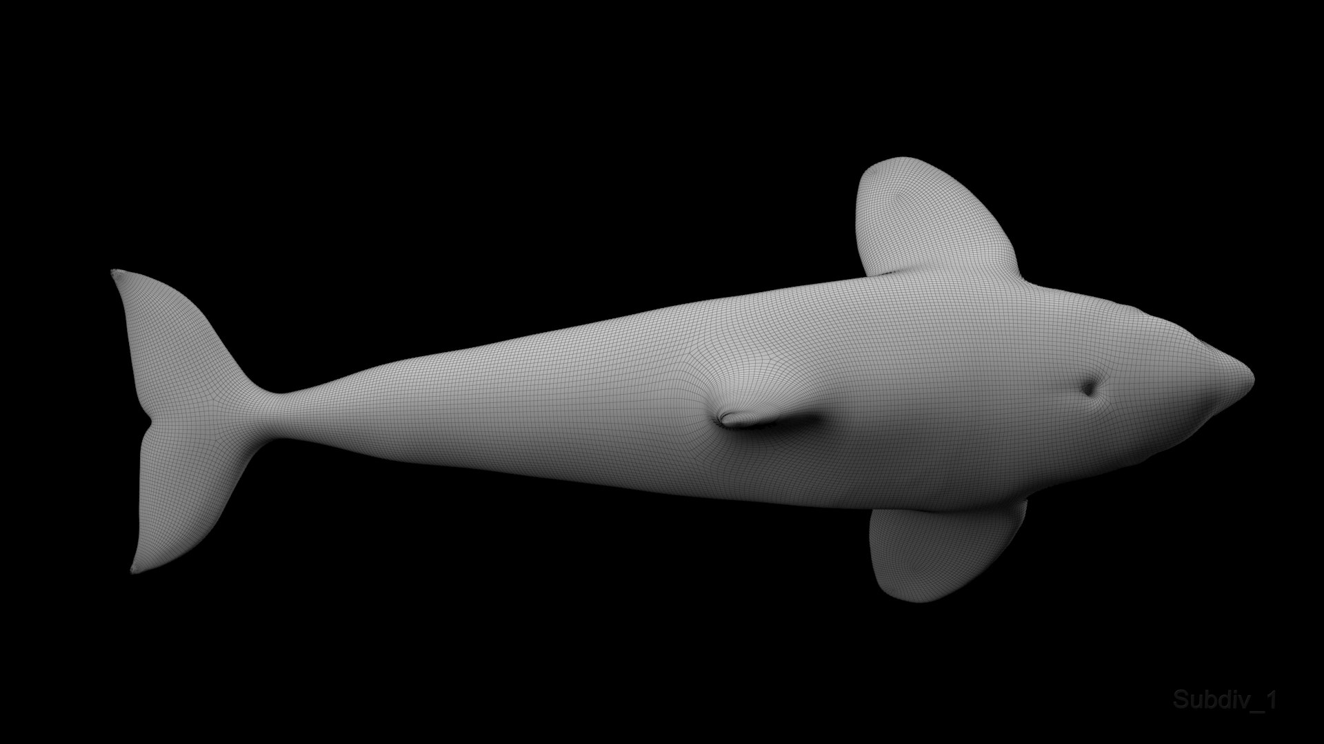 killer whale unreal engine model https://p.turbosquid.com/ts-thumb/vQ/efMiaf/rtSYK4Ze/w1_03/jpg/1581257113/1920x1080/fit_q87/810704ee050c9afcef8fb9a363b803d4845b655d/w1_03.jpg