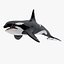 Killer Whale C4d Max Maya UNIDAD Unreal Engine 4 PAck