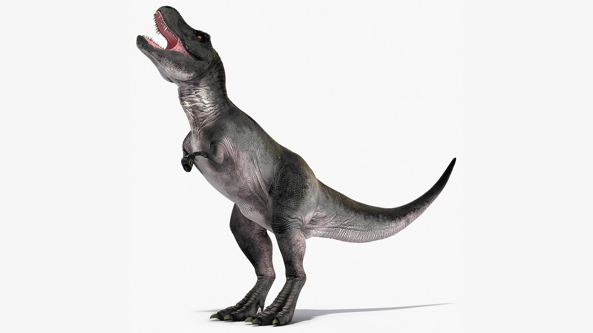 T Rex Eating Animated Rigged 3D https://p.turbosquid.com/ts-thumb/vQ/jUP47r/mC/trexeatinganimatedrigged3dmodel001/jpg/1690519720/1920x1080/fit_q87/d08dfd7635145a00db9ccd85d9979e4c5216948a/trexeatinganimatedrigged3dmodel001.jpg