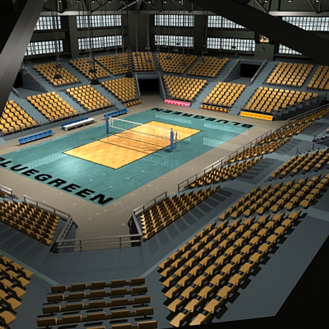 Max Volleyball Arena Ball