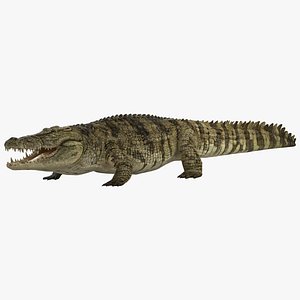 crocodile 3d max
