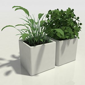 3D herbs pots model