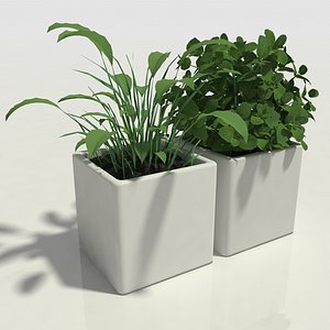 Herbs in Pots - Kitchen Decorative Set