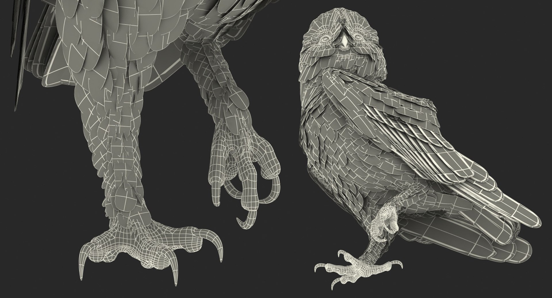 3D birds grey heron https://p.turbosquid.com/ts-thumb/vR/B0P0GN/DR1iom0j/birdcollectionvray3dmodel032/jpg/1574433871/1920x1080/fit_q87/618a4befa300e44096c83305bcc78c36a65591bd/birdcollectionvray3dmodel032.jpg