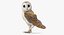 Collection d'oiseaux