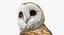 Collection d'oiseaux