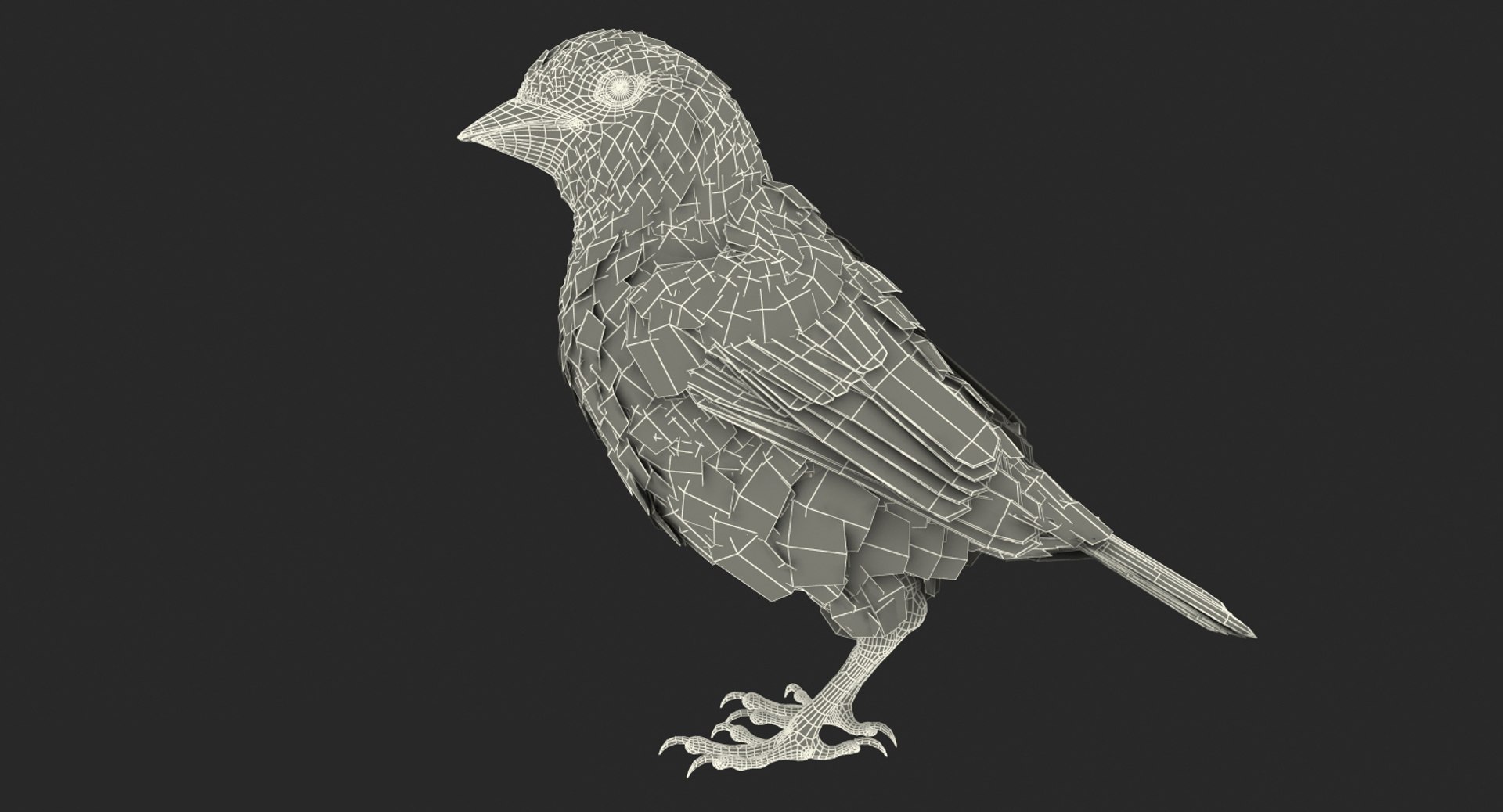 3D birds grey heron https://p.turbosquid.com/ts-thumb/vR/B0P0GN/cSKTcNTZ/birdcollectionvray3dmodel033/jpg/1574433875/1920x1080/fit_q87/8afffe9c1848e3a05ef4653624d21f5e75f66caa/birdcollectionvray3dmodel033.jpg