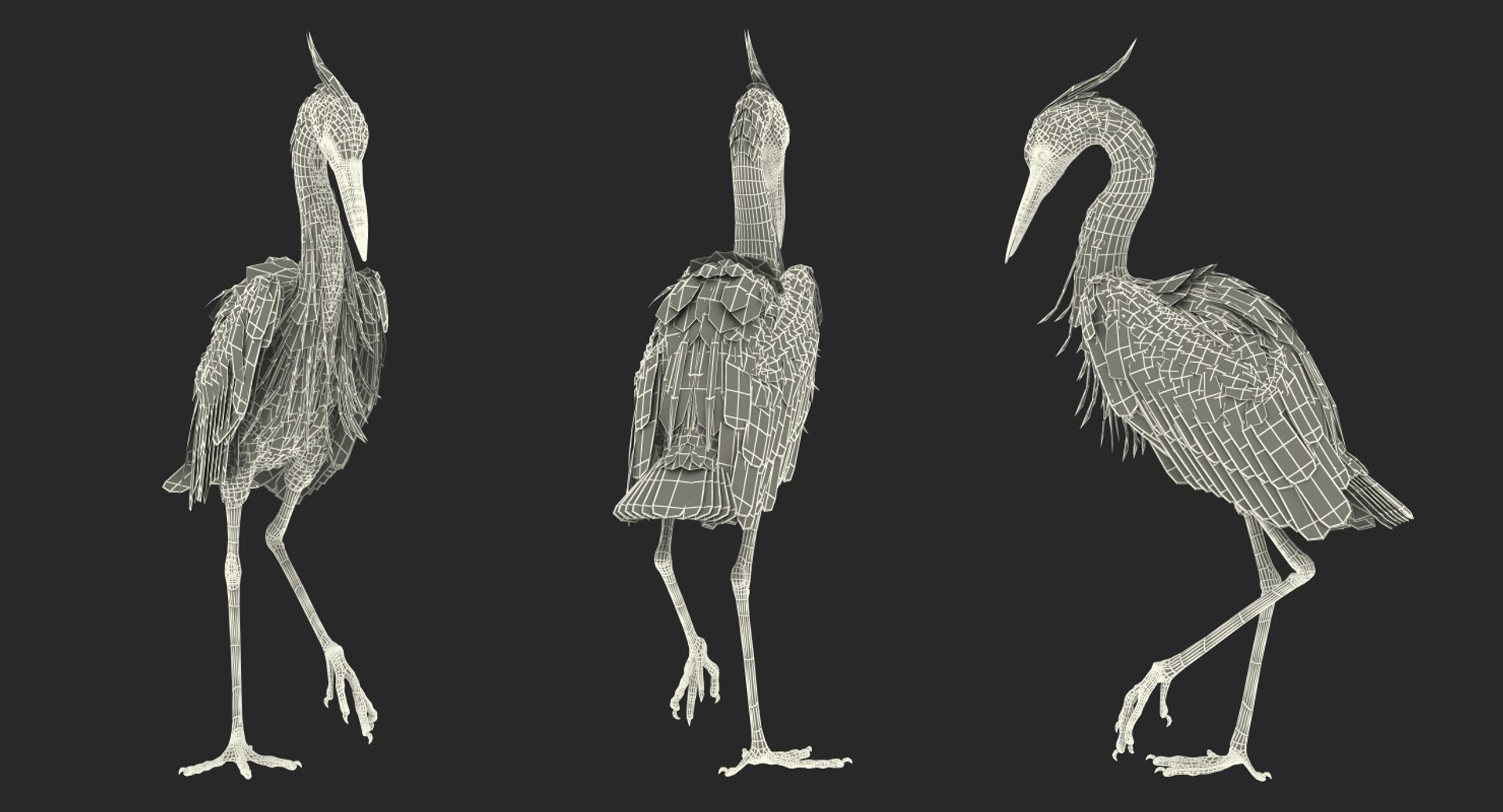3D birds grey heron https://p.turbosquid.com/ts-thumb/vR/B0P0GN/fJAOaeQa/birdcollectionvray3dmodel034/jpg/1574433879/1920x1080/fit_q87/664e70d1662c57f823f92ca013ac770c4f6d3529/birdcollectionvray3dmodel034.jpg