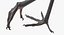Collection d'oiseaux