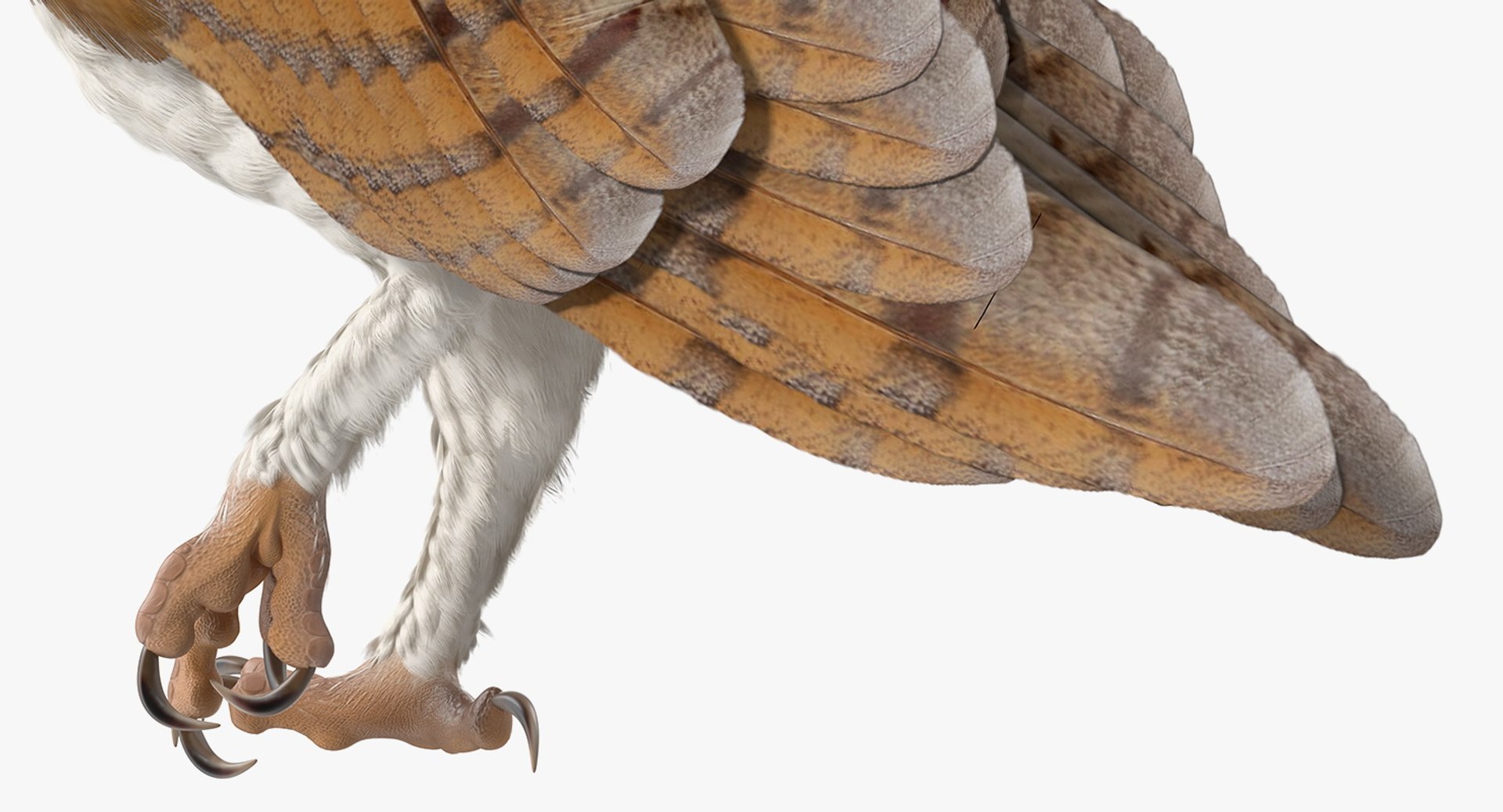 3D birds grey heron https://p.turbosquid.com/ts-thumb/vR/B0P0GN/oN93gd0A/birdcollectionvray3dmodel010/jpg/1574433772/1920x1080/fit_q87/86120196ef96b05a9fc48e1aa35161f28bb597c8/birdcollectionvray3dmodel010.jpg