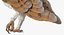 Collection d'oiseaux