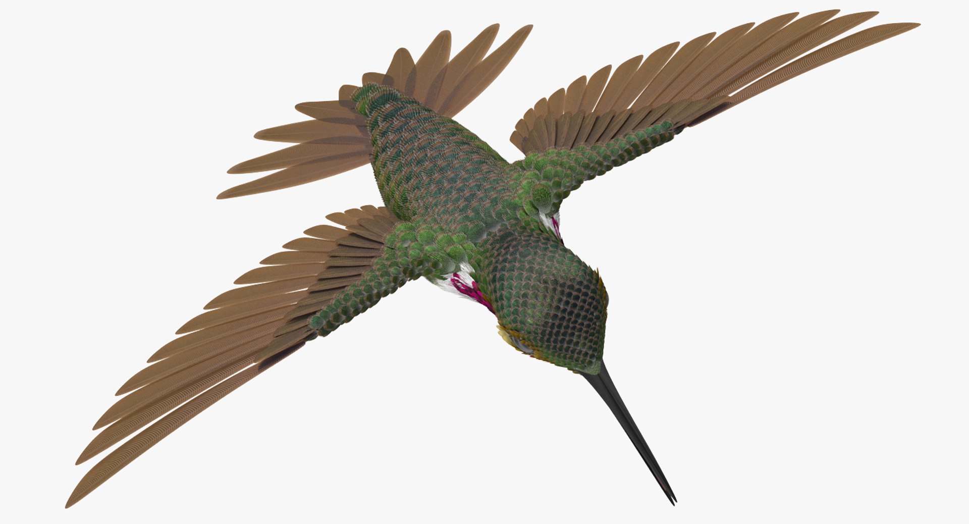 3D birds grey heron https://p.turbosquid.com/ts-thumb/vR/B0P0GN/xMdPHrSg/birdcollectionvray3dmodel028/jpg/1574433853/1920x1080/fit_q87/25473d7b83db8fd5bab8bb73d5c8f36bd95161b3/birdcollectionvray3dmodel028.jpg
