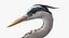 Collection d'oiseaux