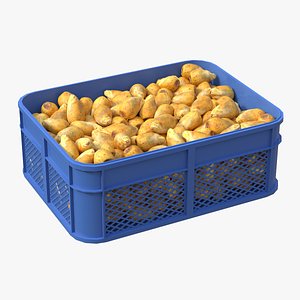3D Prickly Pear Plastic Crate model