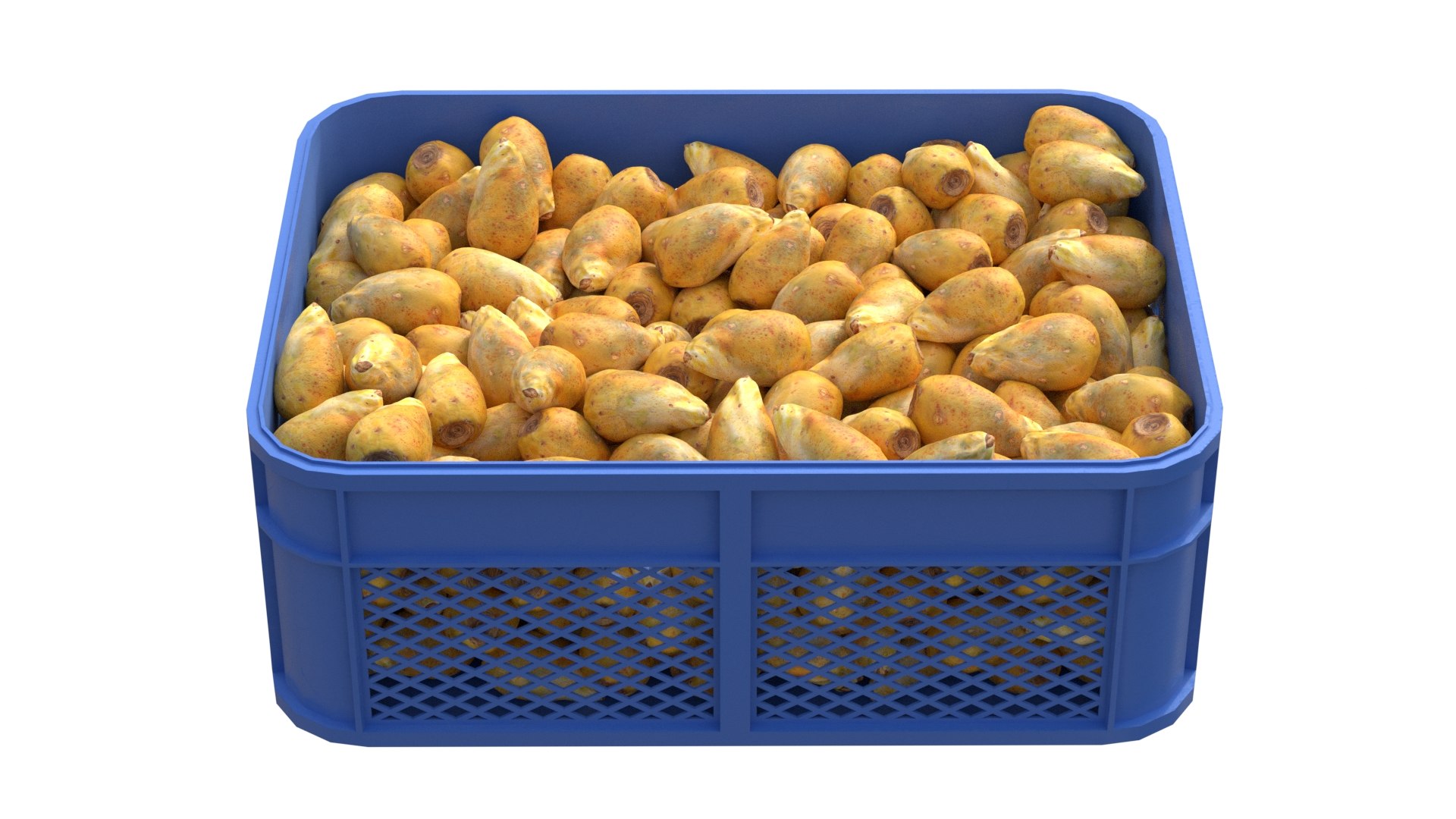 3D Prickly Pear Plastic Crate model https://p.turbosquid.com/ts-thumb/vR/BnlAS4/qg/3/jpg/1778658948/1920x1080/fit_q87/837788a7c7767aea94cecd76fcba4ece650cbee5/3.jpg