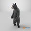 Standing Black Bear