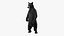 Standing Black Bear