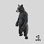 Standing Black Bear