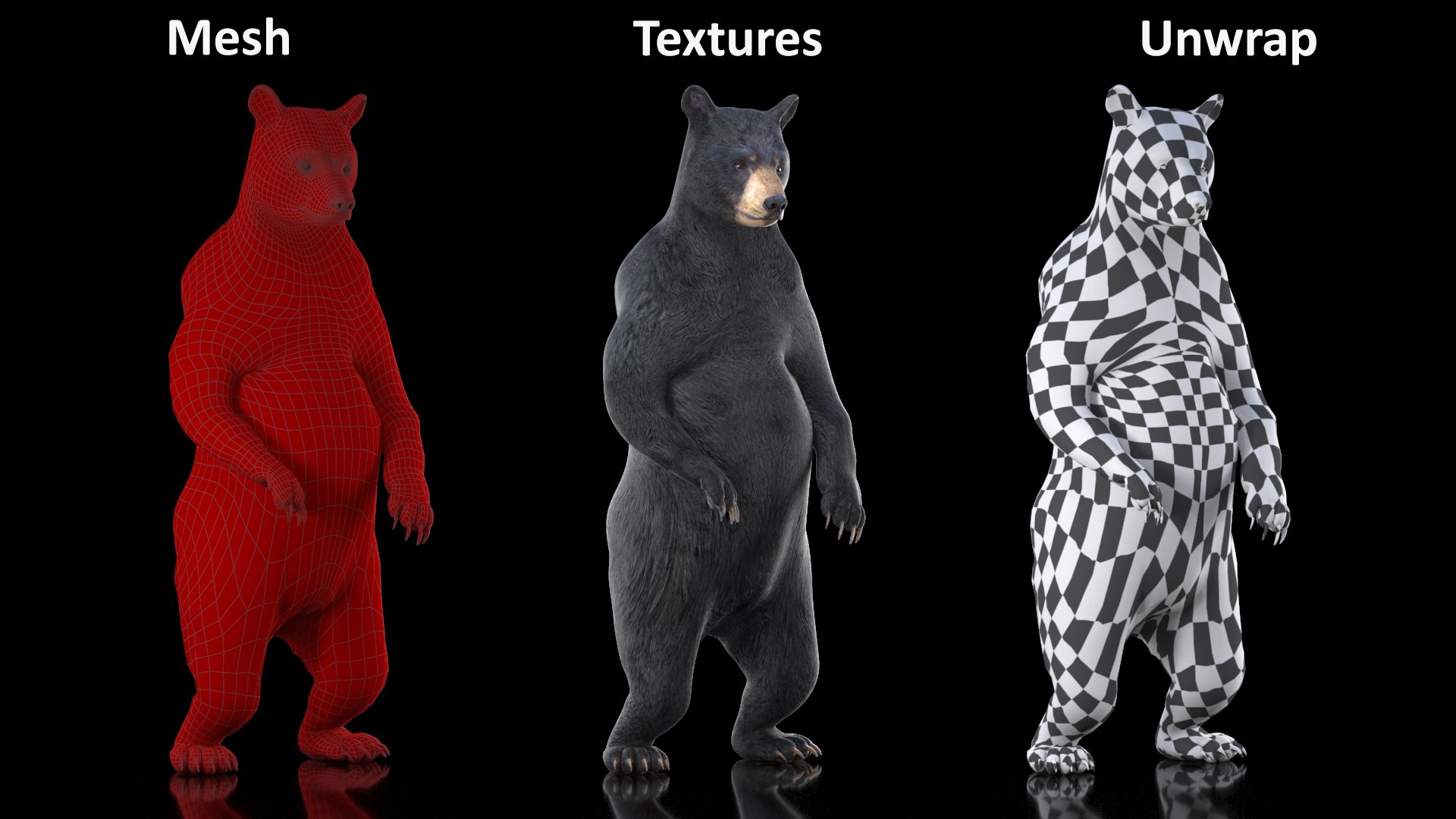 3D model Standing Black Bear https://p.turbosquid.com/ts-thumb/vR/J8zZsd/Lt/standingblackbearc4dmodel014/jpg/1720733351/1920x1080/fit_q87/f458b02e734ca51ed5ecc05e35d1705a0e889cda/standingblackbearc4dmodel014.jpg