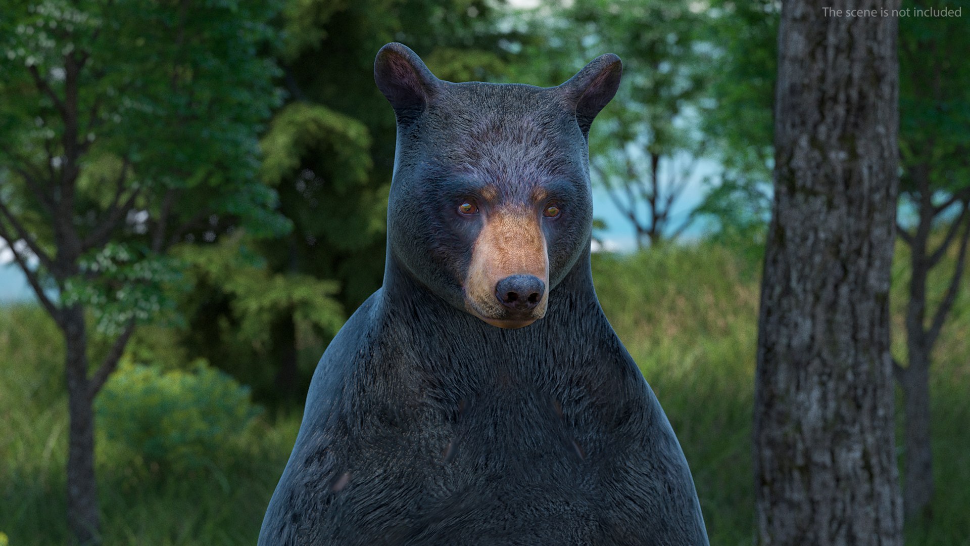 3D model Standing Black Bear https://p.turbosquid.com/ts-thumb/vR/J8zZsd/VV/standingblackbearc4dmodel005/jpg/1720733313/1920x1080/fit_q87/8829a974069fd159e78a81d66cca971214456a46/standingblackbearc4dmodel005.jpg