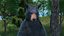 Standing Black Bear