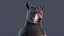Standing Black Bear