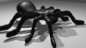 3D SPIDER black model
