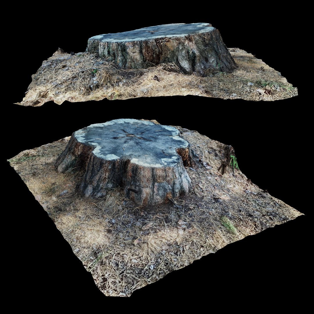 Stump 001 Model - TurboSquid 1931000