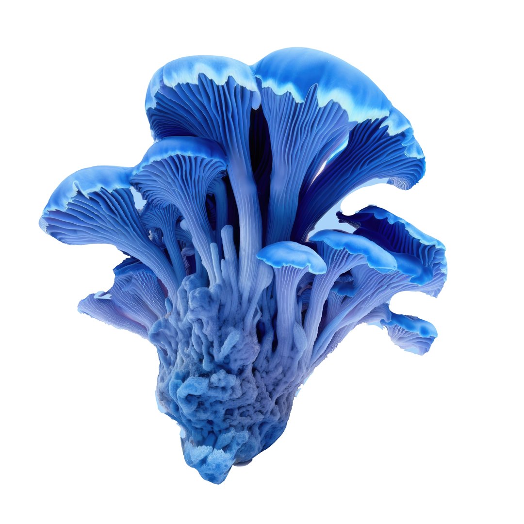 3D Pandora Mushroom Pack https://p.turbosquid.com/ts-thumb/vR/ZLKo2p/7s/43453455/jpg/1703011259/1920x1080/fit_q87/312789be674207ae461bc52cc811862961e3b6ea/43453455.jpg