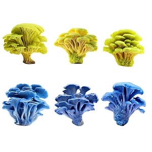 Pandora Mushroom Pack